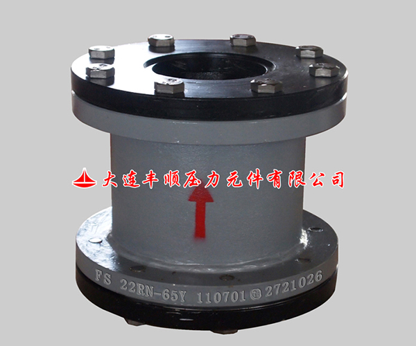 1557294615860697.jpg 止回閥.jpg