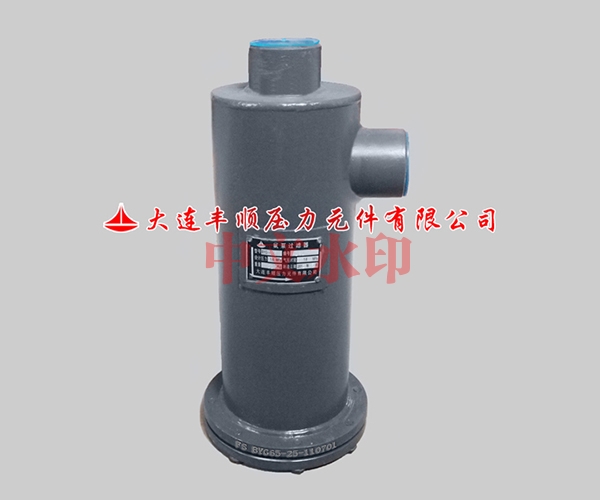 氨泵過濾(lü)器